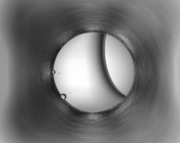 X0000096660261200802121137