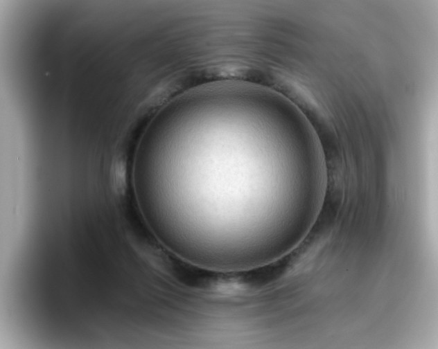 X0000096660262200802121137