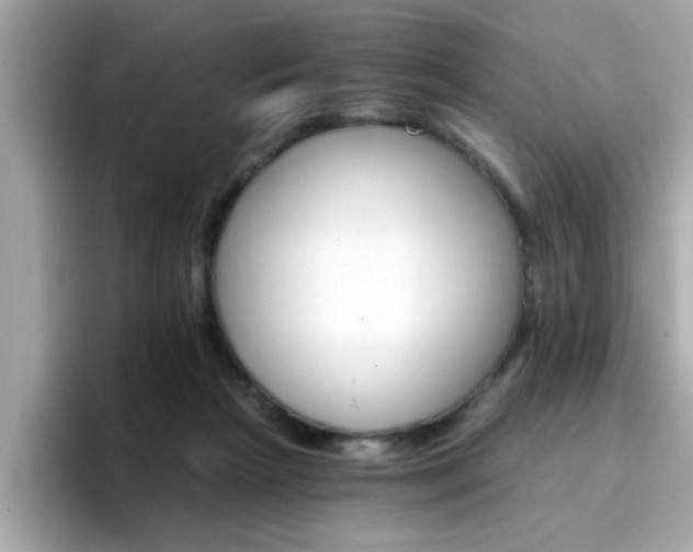 X0000096660265200802121137