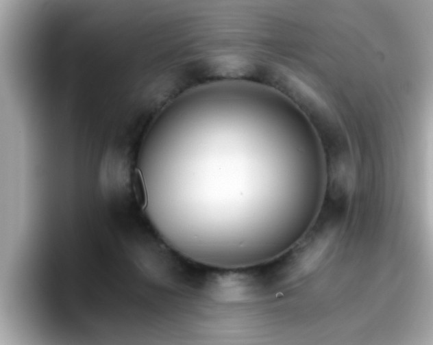 X0000096660268200802121137