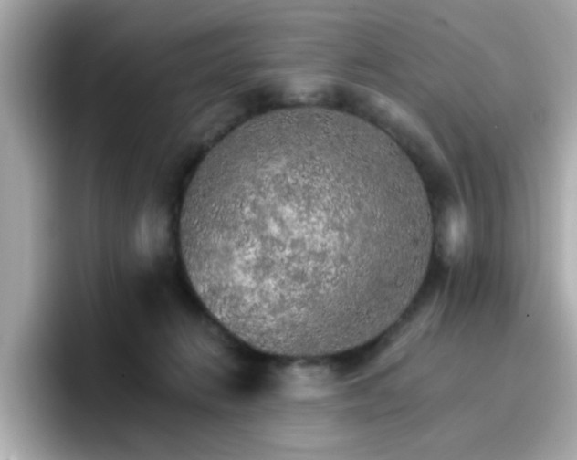 X0000096660270200802121137