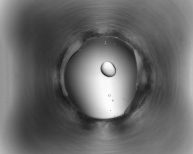 X0000096660272200802121137