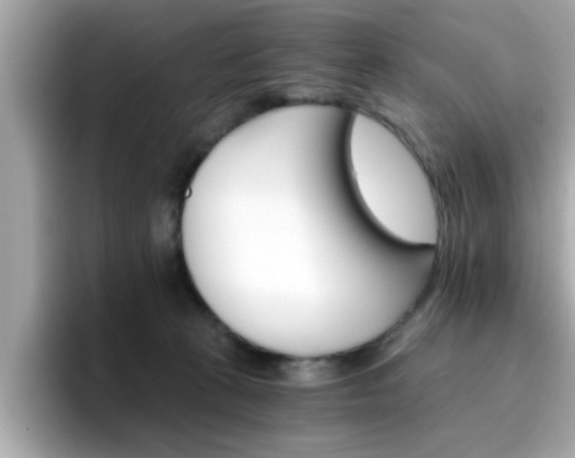 X0000096660273200802121137