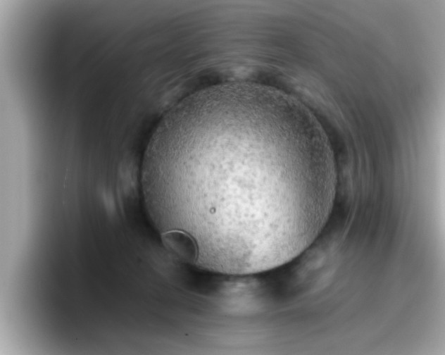 X0000096660274200802121137