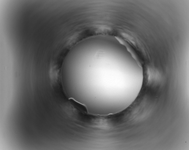 X0000096660276200802121137