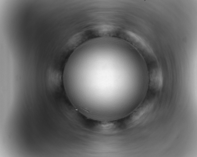 X0000096660278200802121137