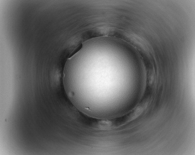 X0000096660279200802121137