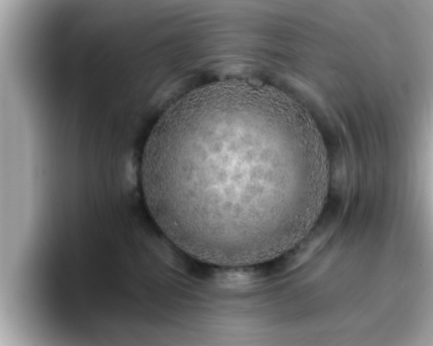 X0000096660282200802121137