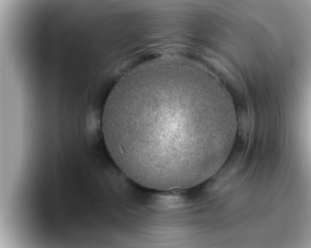 X0000096660284200802121137