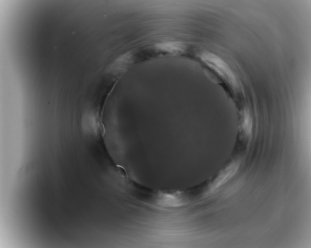 X0000096660285200802121137