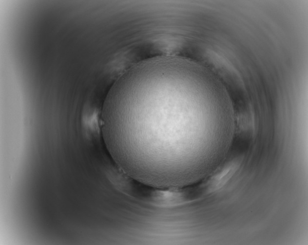 X0000096660286200802121137