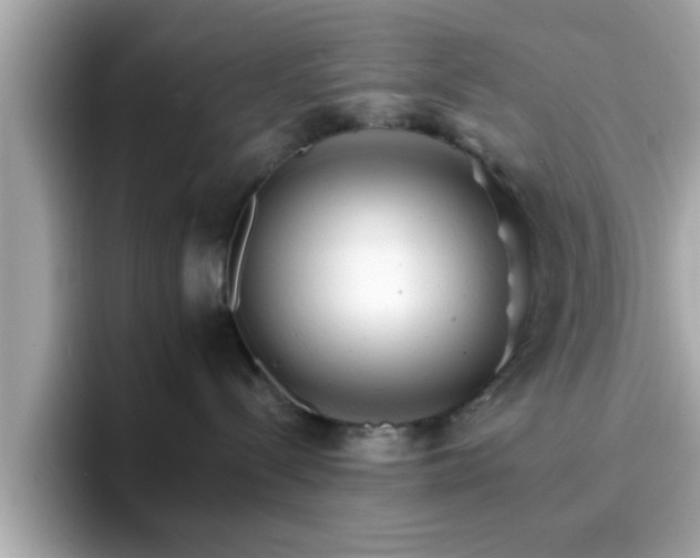 X0000096660288200802121137