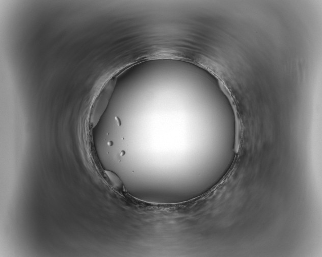 X0000096660289200802121136