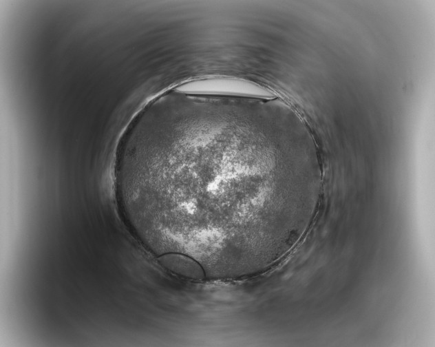 X0000096660290200802121136