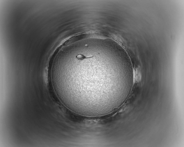 X0000096660291200802121136