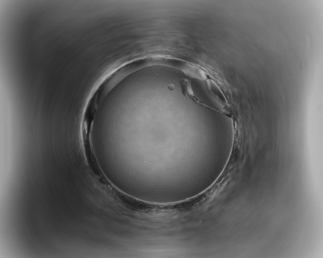 X0000096660292200802121136