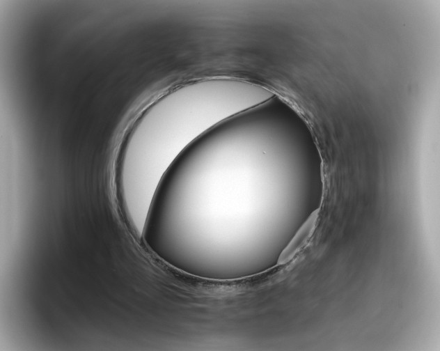 X0000096660293200802121136