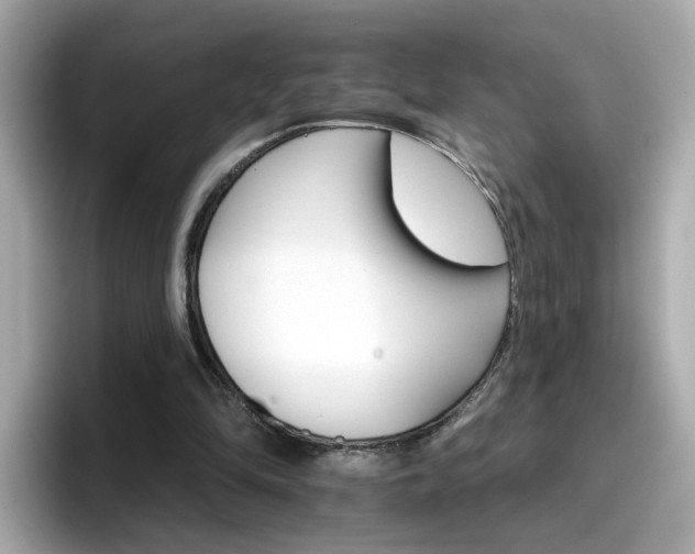 X0000096660294200802121136