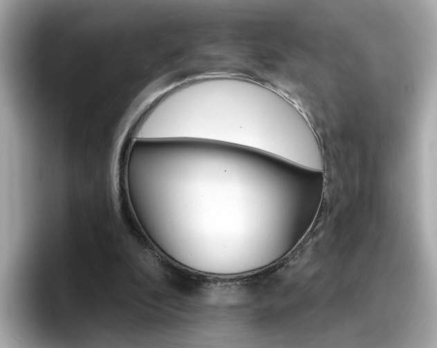 X0000096660296200802121136