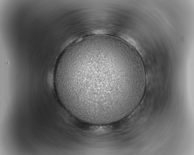 X0000096660297200802121136