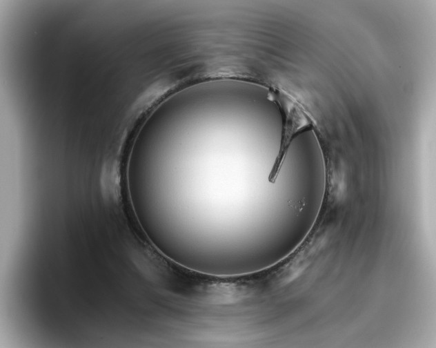 X0000096660298200802121136