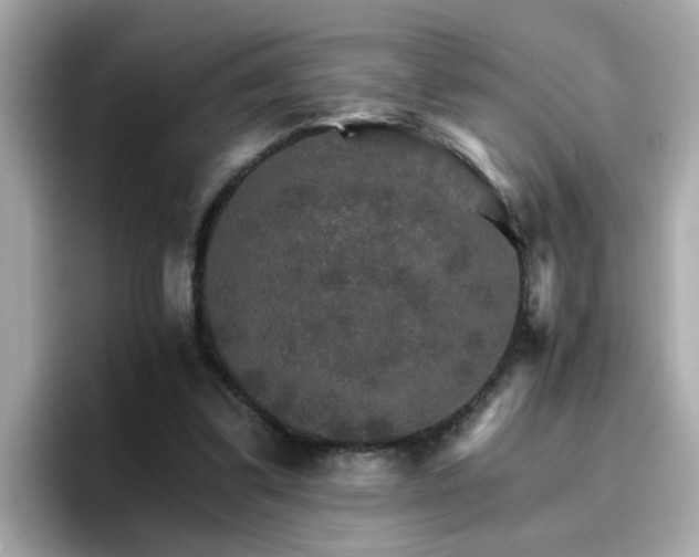 X0000096660299200802121136