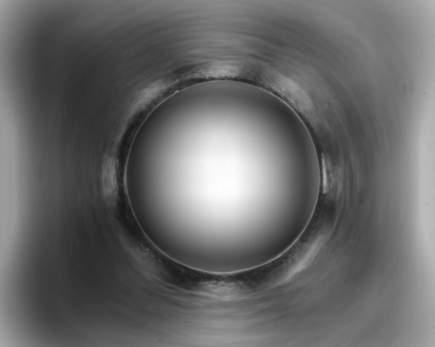 X0000096660300200802121136