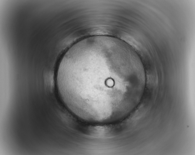 X0000096660302200802121136