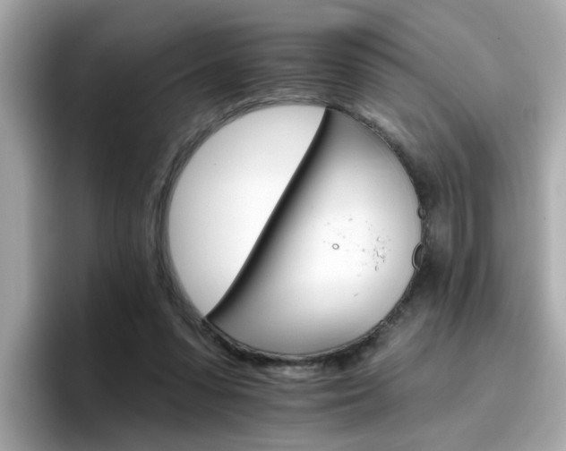 X0000096660303200802121136