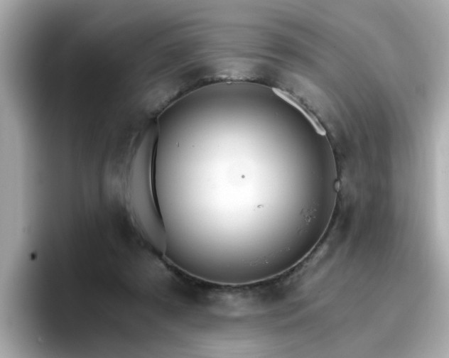 X0000096660305200802121136