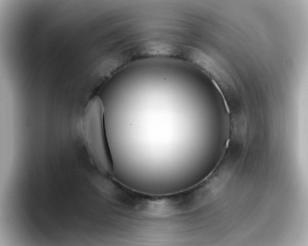 X0000096660309200802121136