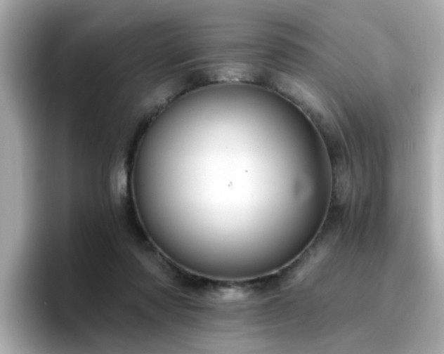 X0000096660310200802121136