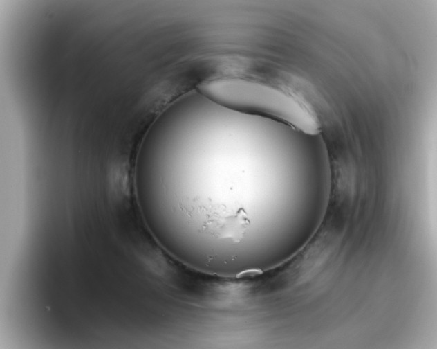 X0000096660313200802121136