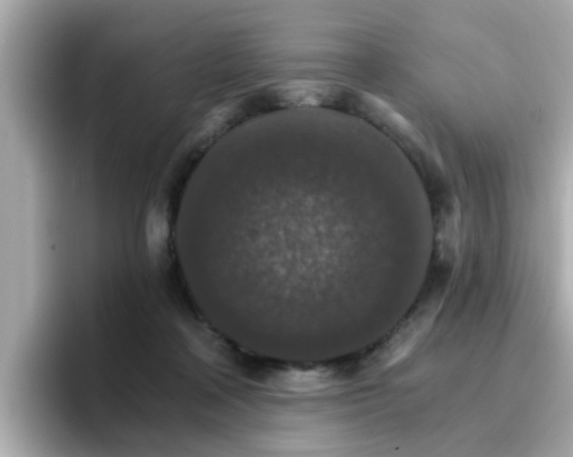 X0000096660314200802121136