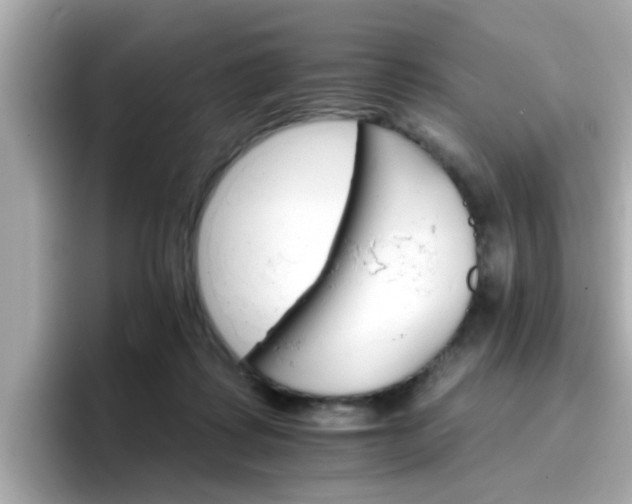 X0000096660315200802121136