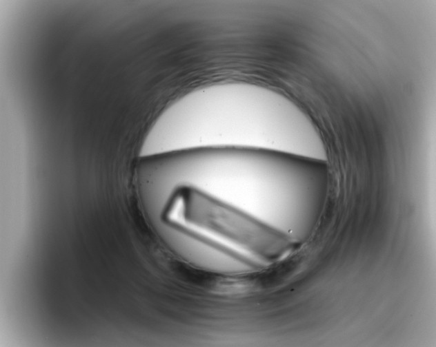 X0000096660316200802121136