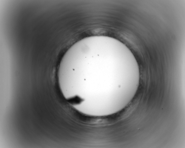 X0000096660319200802121136