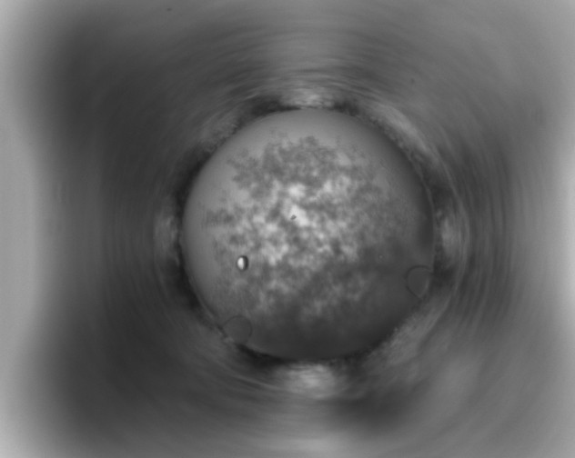 X0000096660322200802121136