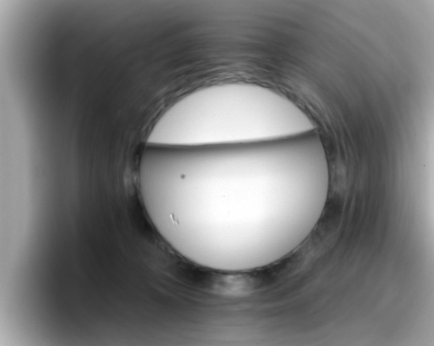 X0000096660324200802121136