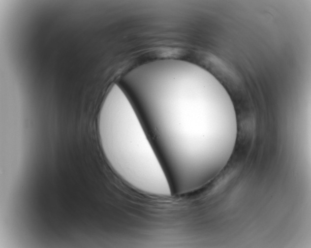 X0000096660325200802121136