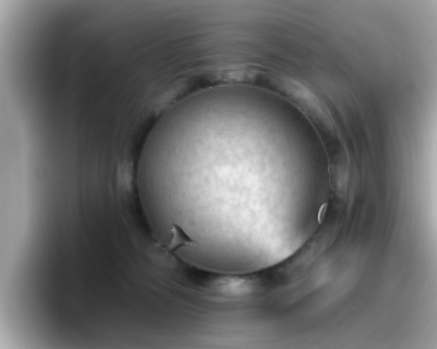 X0000096660326200802121136