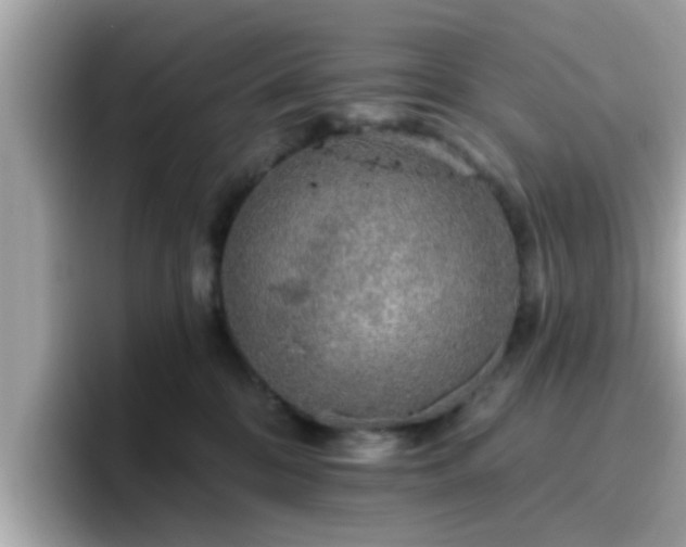 X0000096660328200802121136