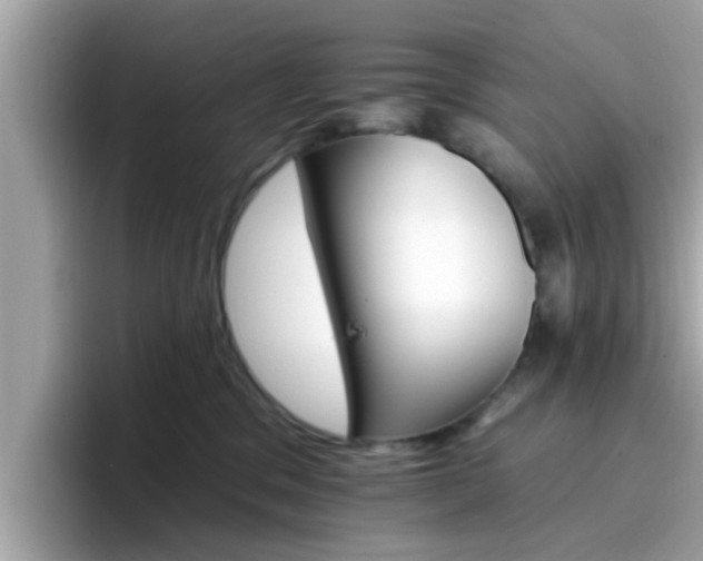 X0000096660329200802121136