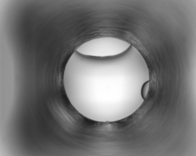 X0000096660330200802121136