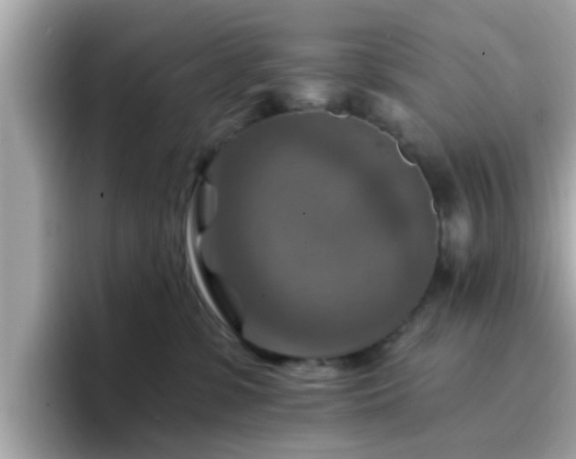 X0000096660331200802121136