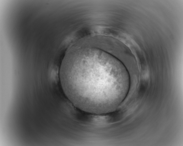 X0000096660332200802121136