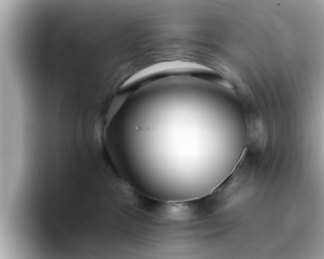 X0000096660333200802121136