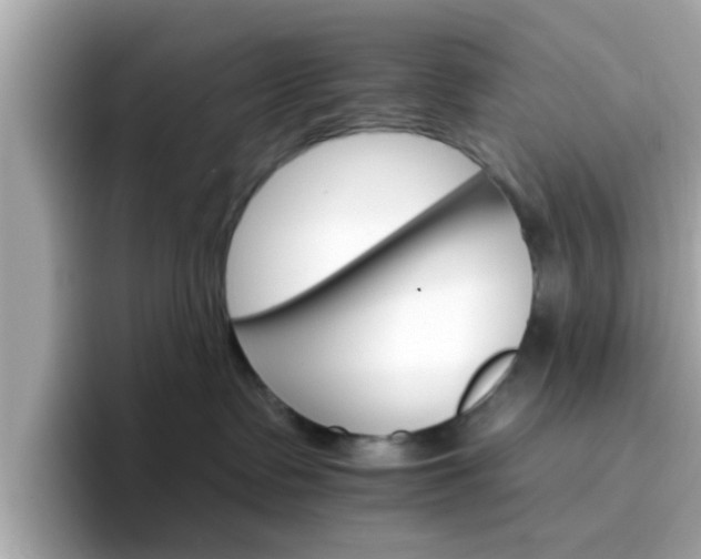 X0000096660335200802121136