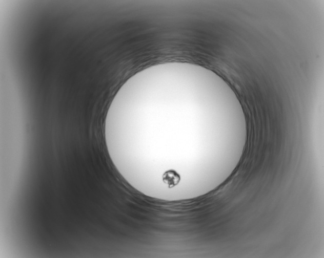 X0000096660336200802121136