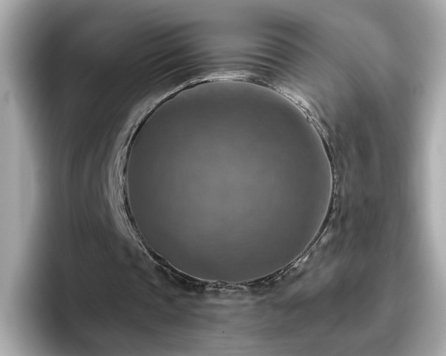 X0000096660337200802121135